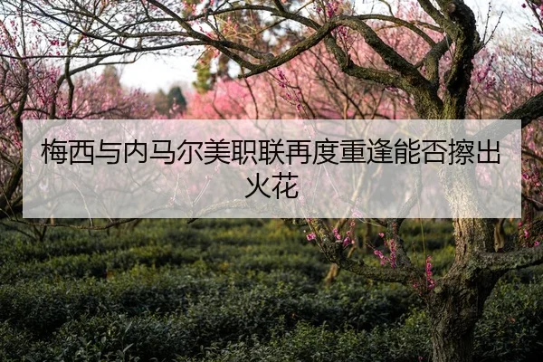 梅西与内马尔美职联再度重逢能否擦出火花