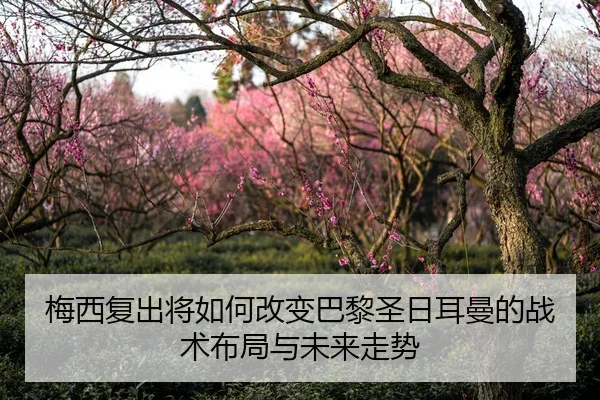 mei-xi-fu-chu-jiang-ru-he-gai-bian-ba-li-sheng-ri-er-man-de-zhan-shu-bu-ju-yu-wei-lai-zou-shi-2-629.jpg